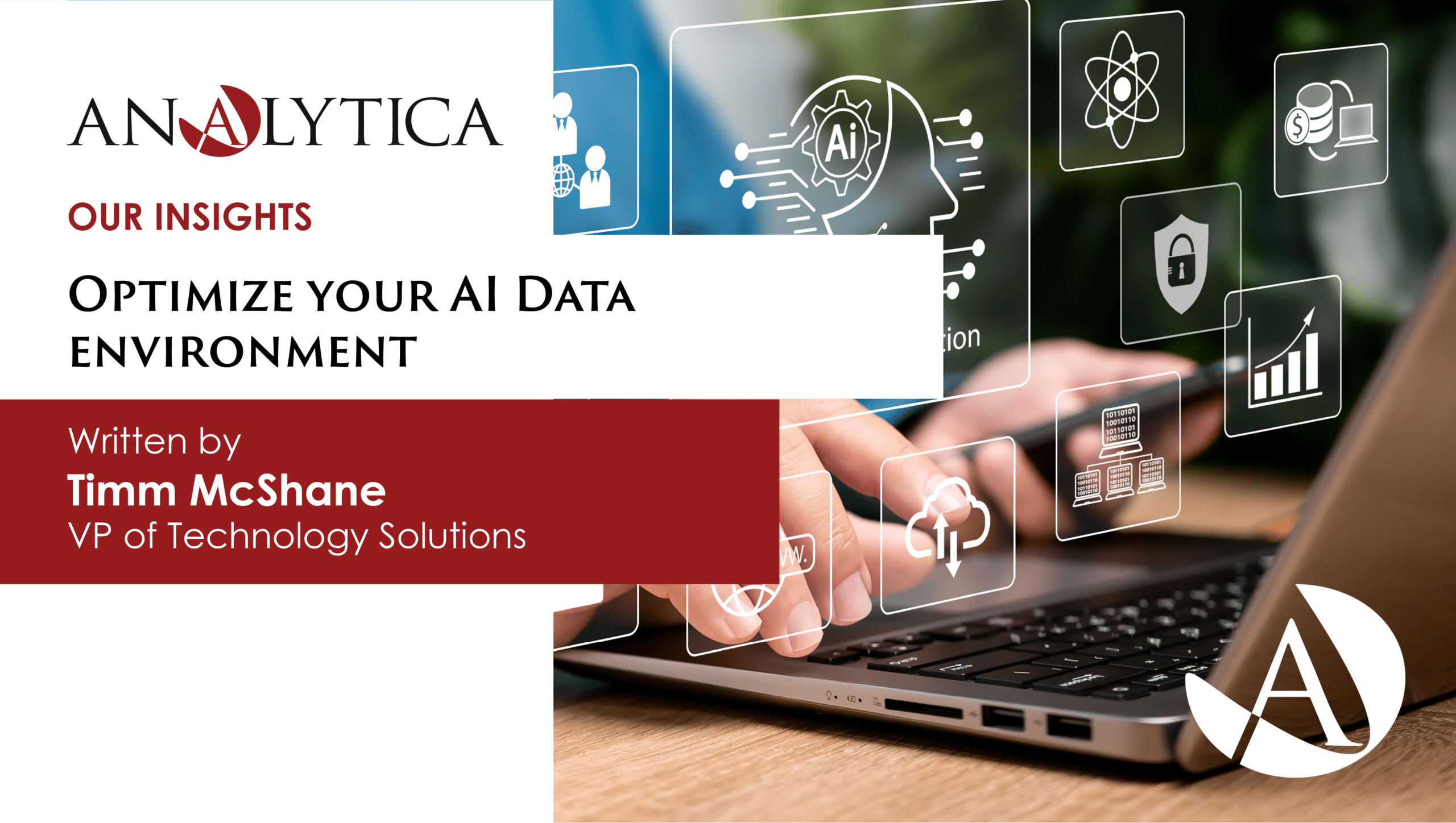 Optimize your AI Data environment - Analytica